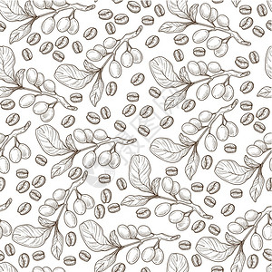 种子成长种植咖啡豆无缝模式的分支芳香饮料和菜盘的种子饮料和甜点的有机成分菜单印刷色素描大纲平板矢量插画
