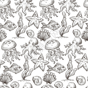 带触角软体动物和海星的果冻鱼章热带无色单草图大纲平式矢量章鱼和海壳类藻无缝模式背景图片