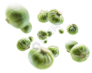 绿色卷心菜悬浮在白色背景上图片