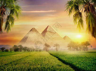埃及金字塔在雾的清晨绿地埃及金字塔绿地在的图片