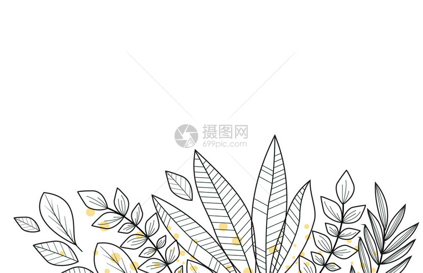 植物装饰带叶子的元素背景图片