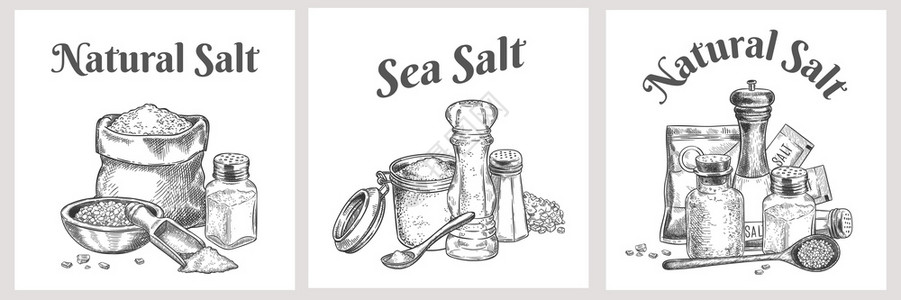烹饪用具手绘精美海盐标签插画