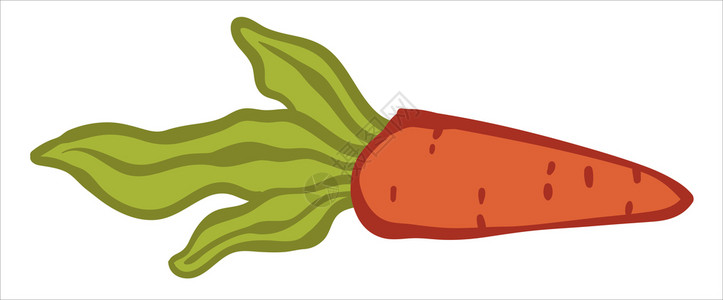 蔬菜扁尖有机蔬菜用绿色树叶的成熟胡萝卜孤立象征物含有抗氧化剂和维他命的产品健康食和生活方式饮食和营养用蔬菜扁式的病媒用绿叶开胡萝卜新鲜蔬插画