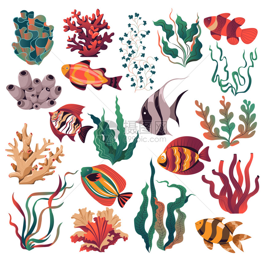 手绘精美海洋生物海洋植物图片