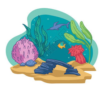 珊瑚藻水下鱼类藻珊瑚插画插画