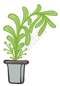 绿色小盆栽菜园和种植物含有干叶和树的塑料罐花粉店平式的病媒插画