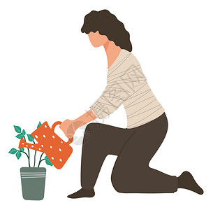 花农浇花给植物浇花的女子插画
