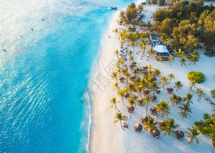 非洲桑给巴尔暑假热带风景包括棕榈树阳伞白沙蓝水海浪人背景图片