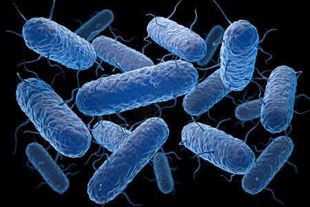 胃肠炎肠内阴细菌肠内阴细菌是一大家庭的格外阴细菌3D插图肠内阴细菌是一大家庭的格外阴细菌背景