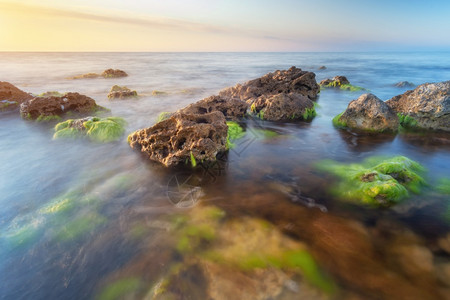 美丽的海景自然构成日落自然的合成水雾石头上的海藻图片