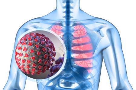 梅斯3D说明新冠是一种攻击呼吸道的病原体新冠是一种攻击呼吸道的病原体背景