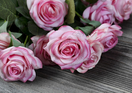 紧贴着一朵可爱的粉红玫瑰与其他的背景图片