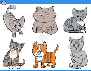 猫和动物特写插画图片
