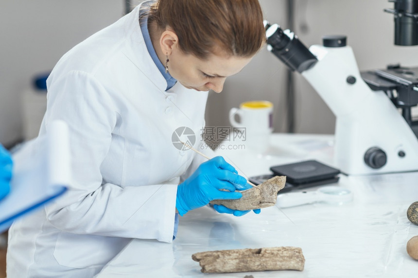 实验室分析古老鹿角工具的年轻女考古学家图片