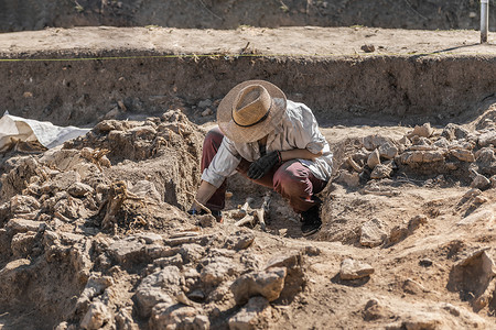 考古挖掘年轻学家从地下挖掘部分人体骨骼和头图片