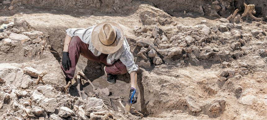 在古墓中发现的考挖掘人类遗骸图片