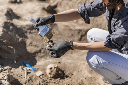 挖掘工具在古墓中发现的考挖掘人类遗骸背景