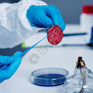 对实验室肉制品进行质量控专家检查图片