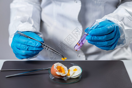 对实验室鸡蛋进行质量控制专家检查图片