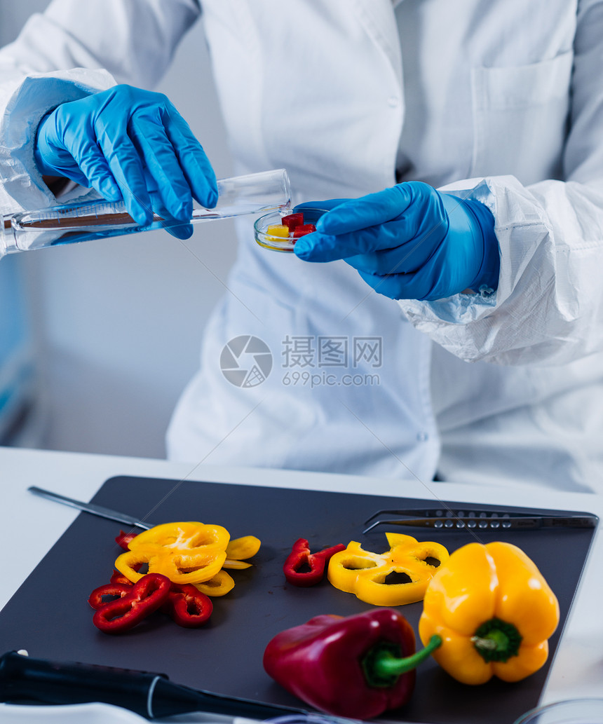 质量控制食品安全检查员在实验室与蔬菜一起工作图片