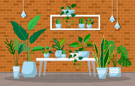 院灯绿色装饰植物内置院插画