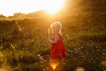 一个穿着红衣服的漂亮女孩肖像在暑假时自然界上穿红色衣服在日落时绿地上玩耍关闭家庭节假日和时间在一起的概念暑假时穿红衣服的漂亮女孩背景图片