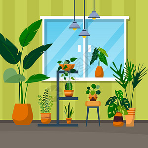 楼灯绿色装饰植物窗楼插画