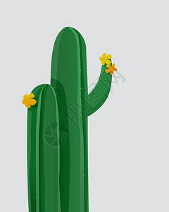 奥特瑙开花的仙人掌矢量元素插画