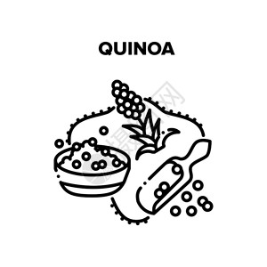 基诺亚粥样板概念有机的基诺亚种植物和烹饪食健康饮美味烹饪午餐谷类营养黑色说明基诺亚粥粉黑白说明插画