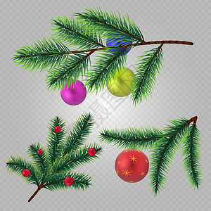 金弯针矢量现实的圣诞树枝有球和在透明背景上隔离的浆果圣诞树枝长青亮光的玩具图示矢量现实的圣诞树枝有球和浆果在透明背景上隔离的插画