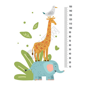 动物规模幼稚园高度测量标尺插画