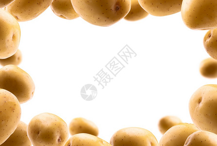 金马铃薯在白色背景上飘黄马铃薯在白色背景上飘背景图片