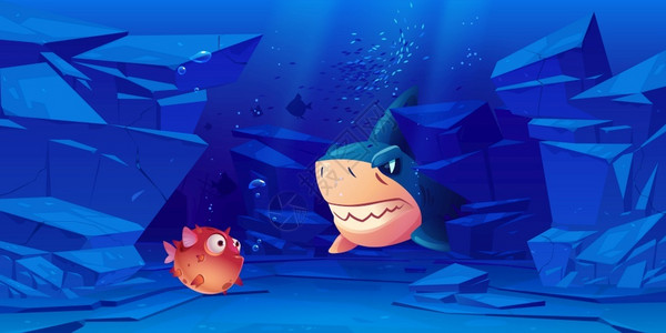 海下生物鲨鱼和河豚背景图片
