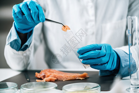零残留实验室原生鸡肉食品安全检查质量控制专家将试管样本分开背景