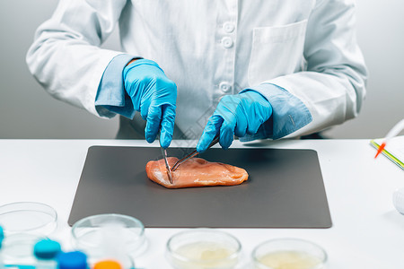 肉类食品质量控制检查员在实验室采集家禽样本食品质量控制肉类图片