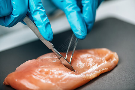 肉类食品质量控制检查员在实验室采集家禽样本食品质量控制肉类食品图片