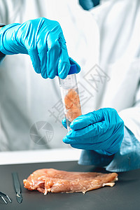 实验室原生鸡肉食品安全检查质量控制专家将试管样本分开背景图片
