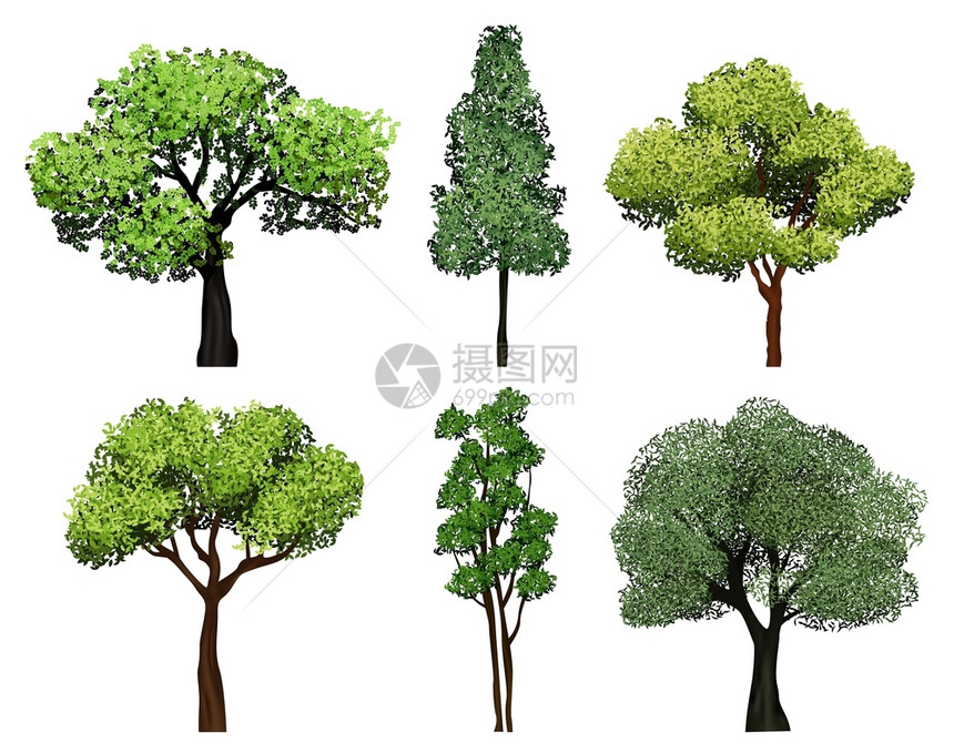 树木收集绿色植物和树叶生态园植物矢量现实图片一系列树木植物绿色环境图例绿色和生态园矢量现实图片图片