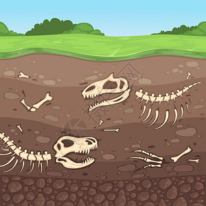 地下恐龙骨头土埋层粘媒介漫画埋古代头骨考土埋层插画