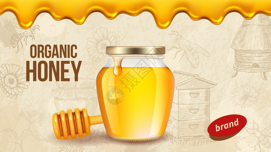 农场蜂蜜配有现实健康有机食品农场产包装背景的标牌模板有现实蜂蜜食品甜有机养蜂自然插图背景图片