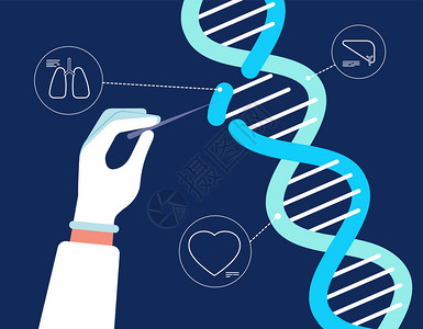 普鲁Dna分析GenereCISprcas9生物化学农业医工程人类基因突变研究染色体病媒背景研究dna生物技术工程分析图解插画