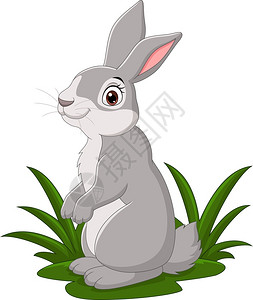草地的卡通小兔子图片