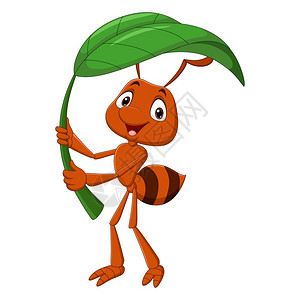 一把绿色可爱的雨伞卡通可爱手拿绿叶的蚂蚁漫画插画