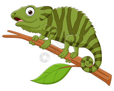 绿色蜥蜴卡通可爱树枝上的变色龙插画