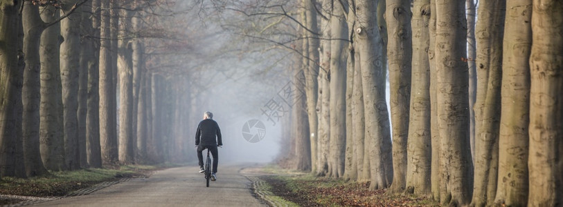 典型的荷兰人哈维拉尔薄雾高清图片