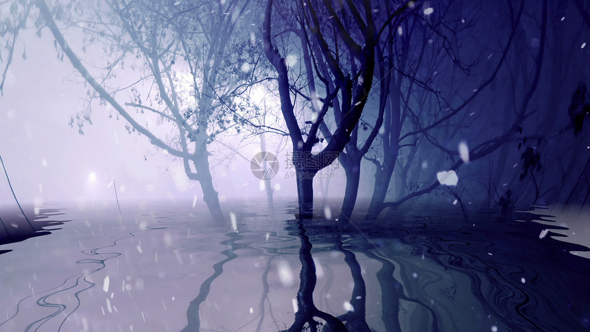 在雾树下雪水中反射图片