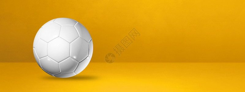 巴斯特球3D插图白色足球背景