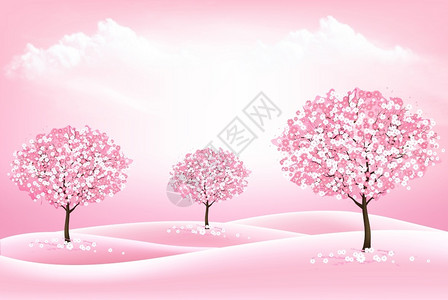 库拉伊达春季自然背景粉红色盛开的沙库拉树和景观矢量插画