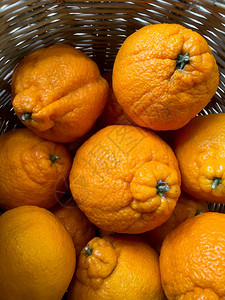 日本柑橘橙水果代科蓬在篮子里图片