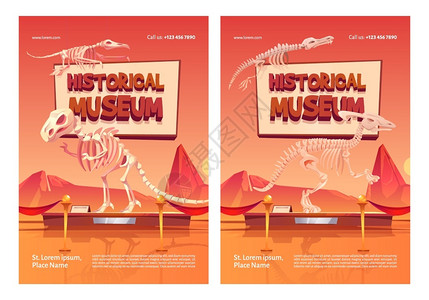 博物馆恐龙化石图集海报图片